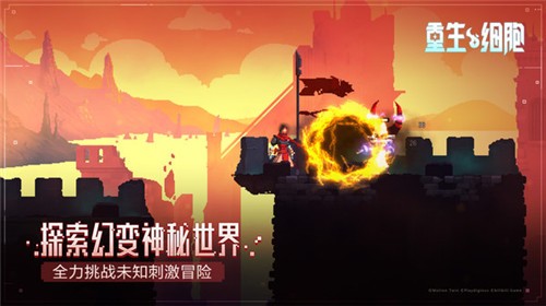 deadcells