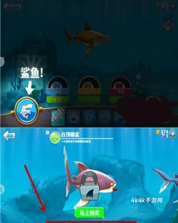 饥饿鲨世界国际服正版_https://www.4k4k.cn_动作冒险_第5张