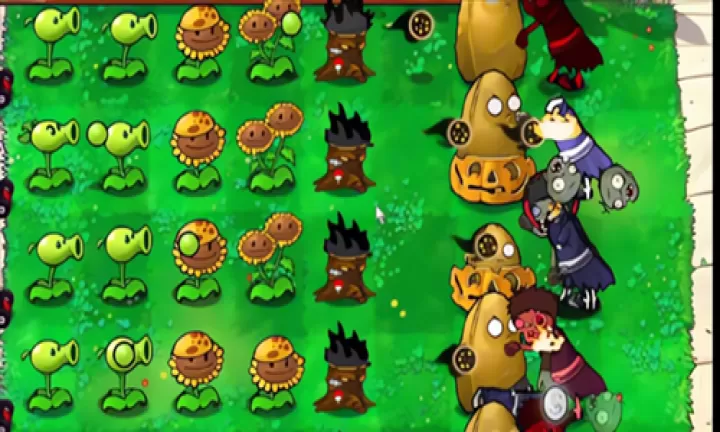 植物大战僵尸火影版手机版_https://www.4k4k.cn_休闲益智_第1张