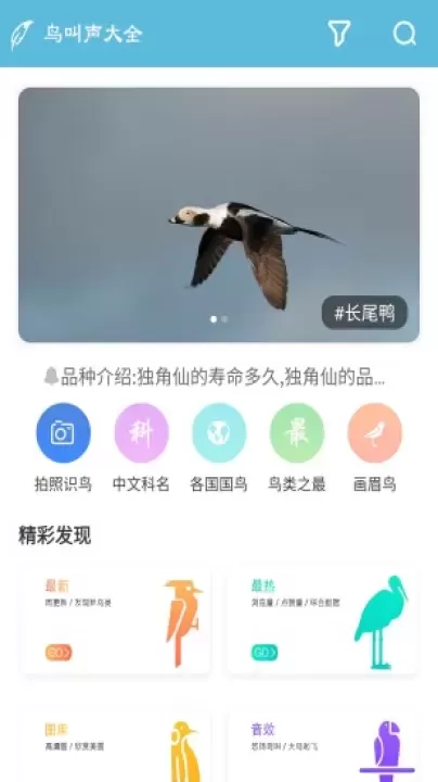 鸟叫声大全_影音播放_第2张_4k4k手游网 鸟叫声大全_https://www.4k4k.cn_影音播放_第2张