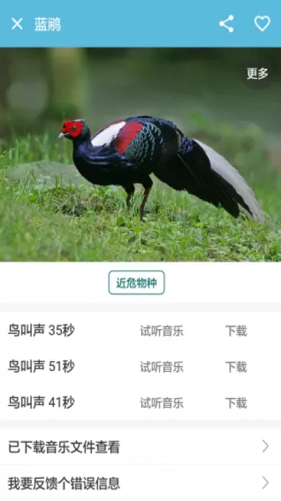 鸟叫声大全_影音播放_第1张_4k4k手游网 鸟叫声大全_https://www.4k4k.cn_影音播放_第1张