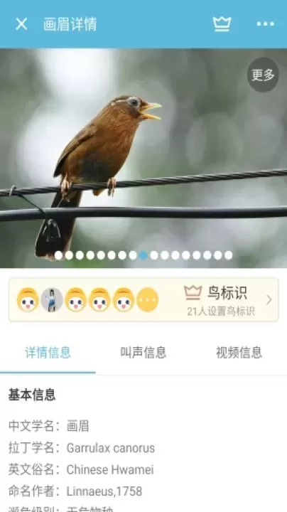 鸟叫声大全_影音播放_第3张_4k4k手游网 鸟叫声大全_https://www.4k4k.cn_影音播放_第3张