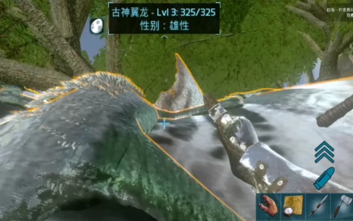 方舟生存加什么属性进化古神翼龙_https://www.4k4k.cn_游戏攻略_第1张